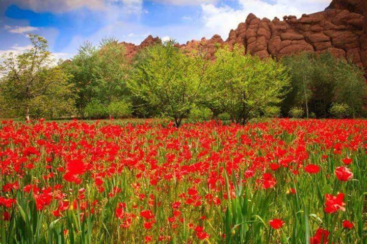 Auberge La Belle Vue Dades Akhendachou n'Ait Ouffi Экстерьер фото